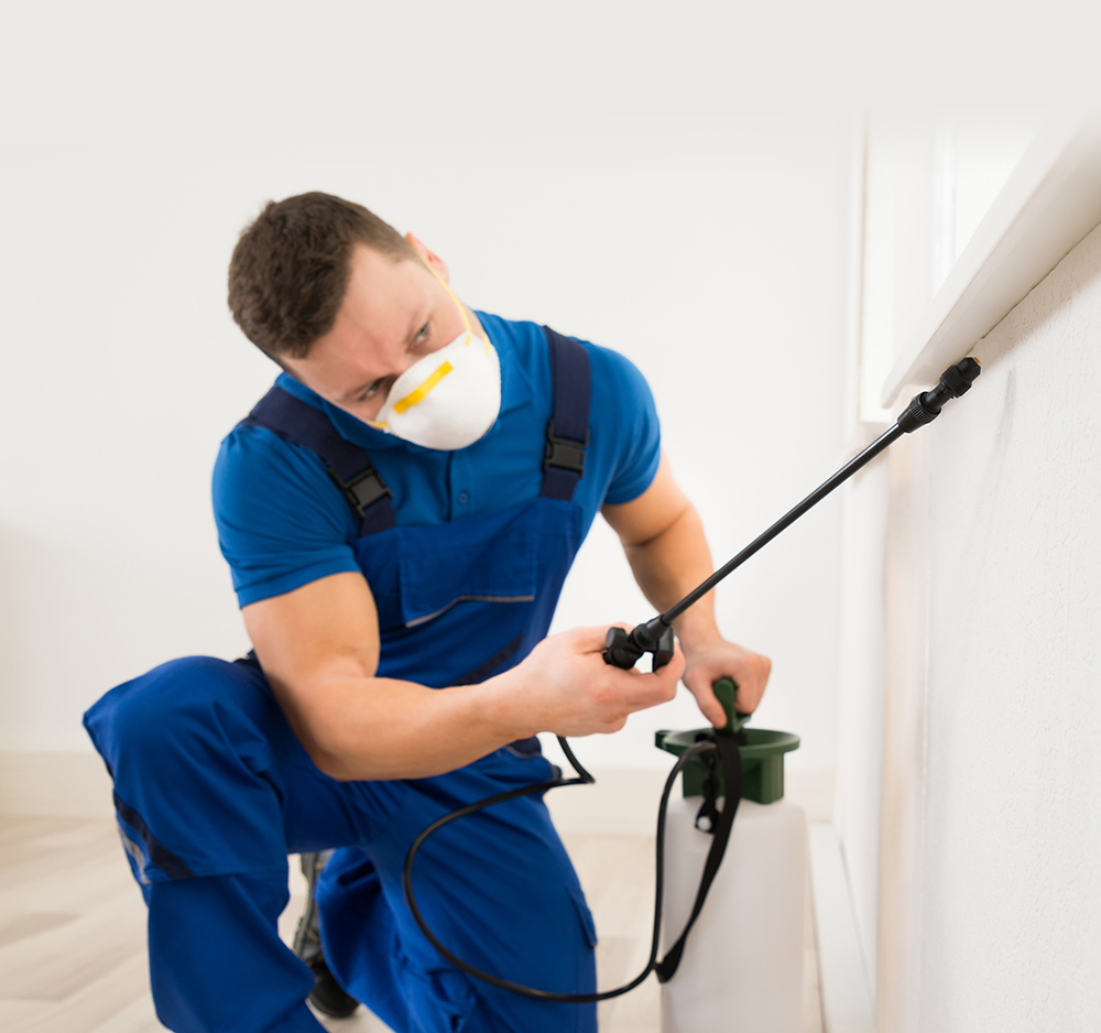 Residential Pest Control: The Ultimate Guide to Keeping Your Home Pest-Free