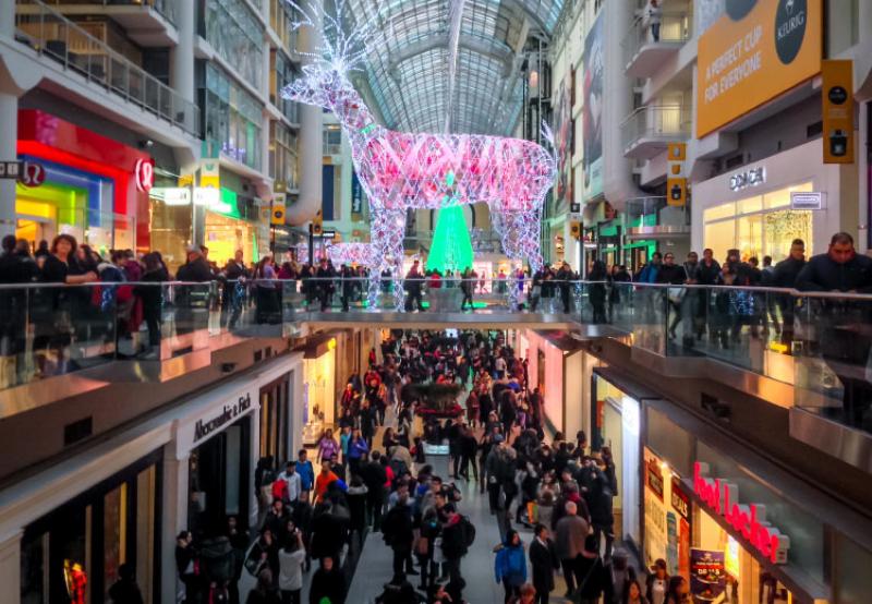 5 Tips For Black Friday Shopping Mall Security | GardaWorld